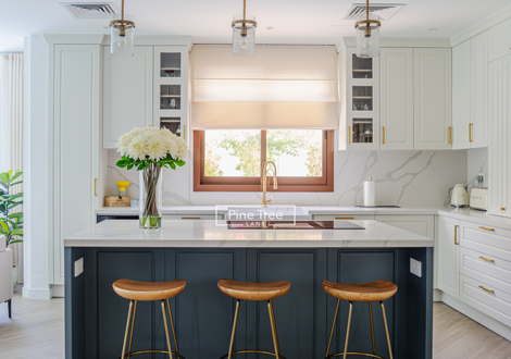 stylish kitchen design