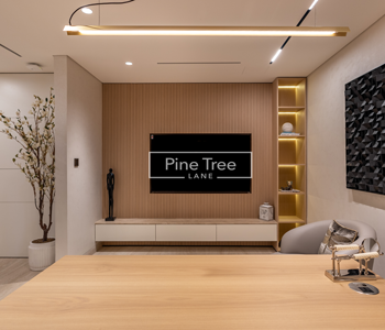 Modern design of a TV unit area