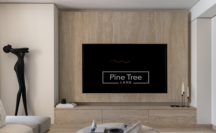 Custom-designed TV unit