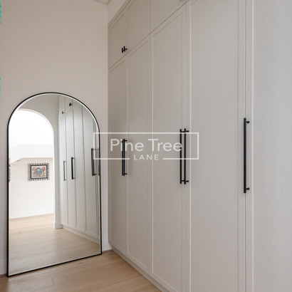 Elegant walk-in wardrobe with mirror