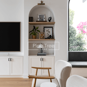 Modern living room featuring white joinery and arched shelving