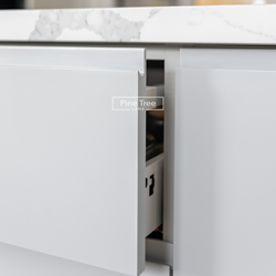 Modern kitchen with pull-out pantry and built-ins