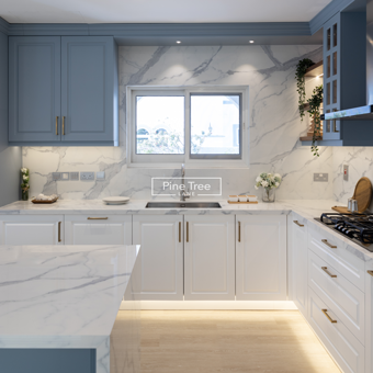 modern kitchen featuring elegant blue and white cabinetry
