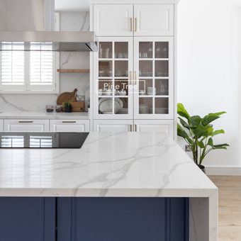 Modern kitchen cabinets featuring stylish door frames