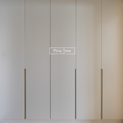 built-in wardrobe with a seamless matte finish