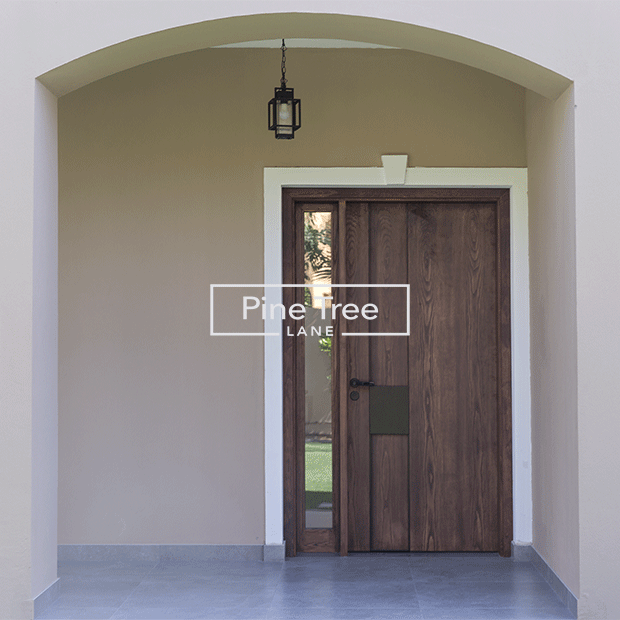 Stylish main door with secure design