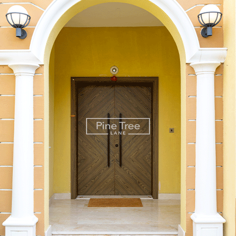 stylish main door design