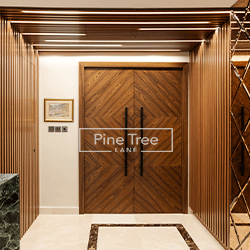 Modern door with sophisticated look