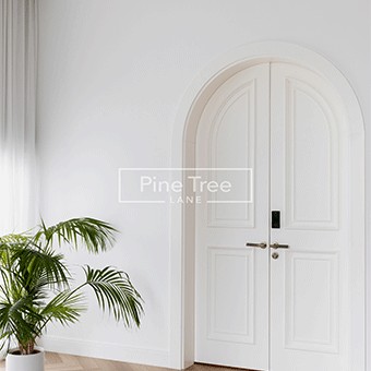 Elegant white main entrance door