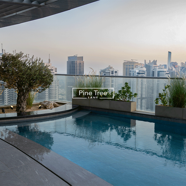 Luxury rooftop with custom-designed pool