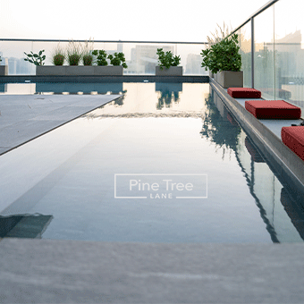 Modern rooftop with elegant plants and bespoke pool