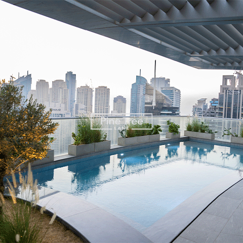 rooftop pool surrounded by plants and skyline view
