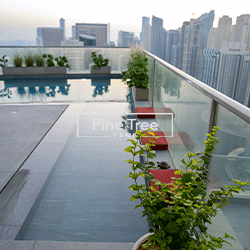 Rooftop pool area featuring plants