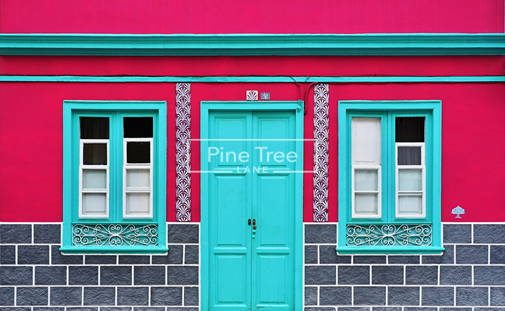 Colorful Statement Door