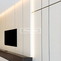 Custom TV paneling with ambient lighting