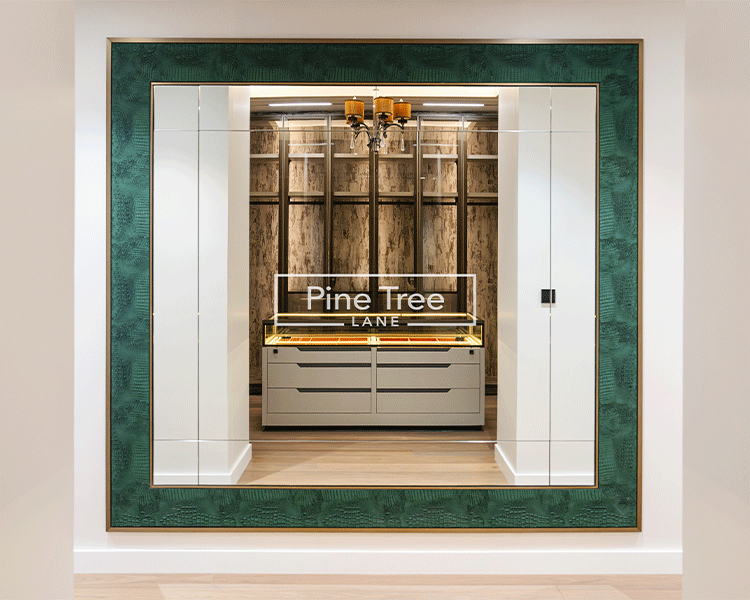 Crafted walk-in closet featuring custom cabinetry