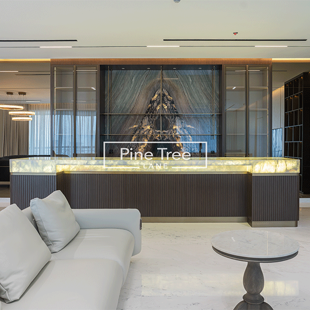 Bespoke entertainment bar with onyx countertop