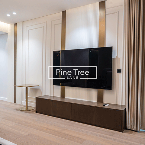 Luxury TV panel with ambient accents and modern wood flooring