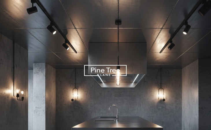 Metal Accent Ceiling