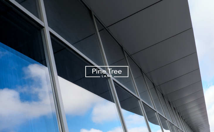 Black Frame Industrial Windows