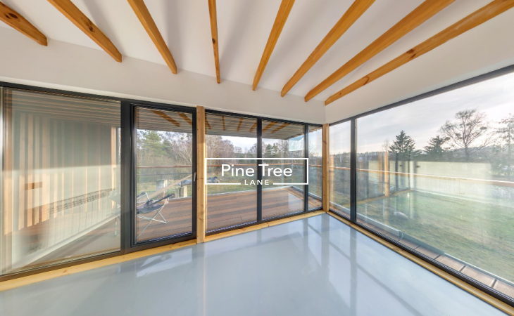 Minimalist Glass Panel Windows