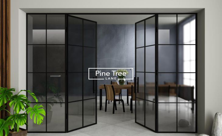 Folding Doors with Frosted