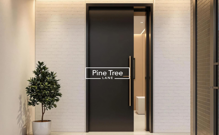 Apartments main door design