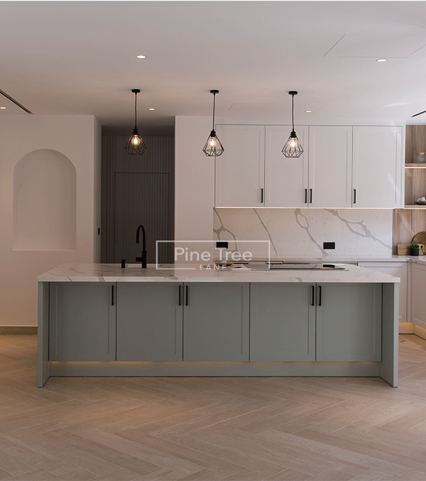 Kitchen Renovation