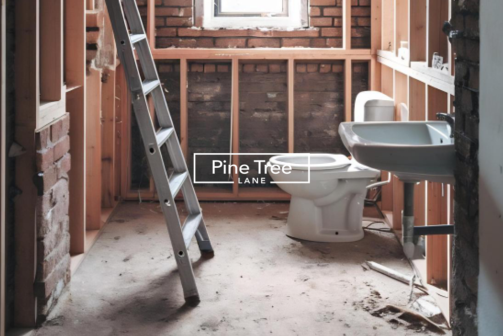 Bathroom Renovation in Progress