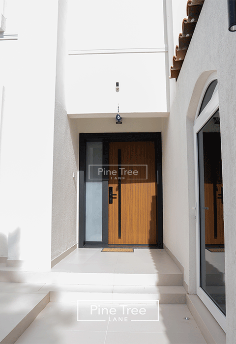 Main glass and wooden door