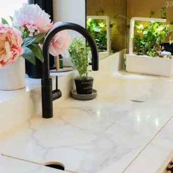 kitchen faucet on marble countertop with potted plant